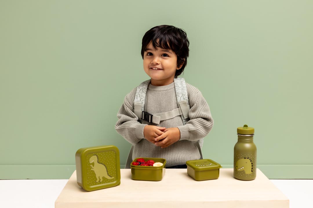 Snackbox - 3er-Set - Mr. Dino